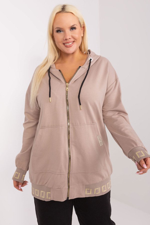 Plus size sweatshirts for Women